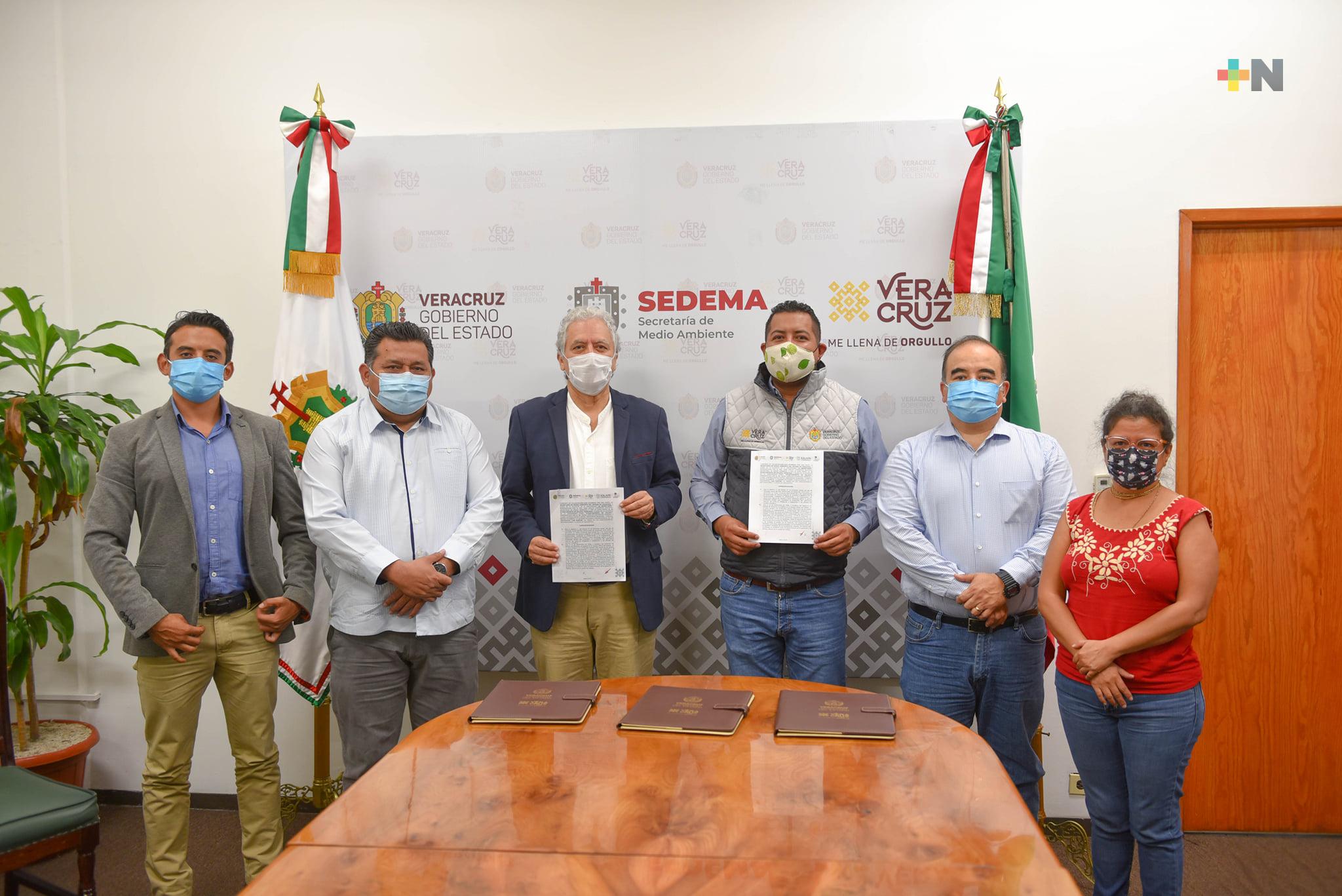 Impulsarán Escuela Apícola Nacional de Xalapa como referente en el país