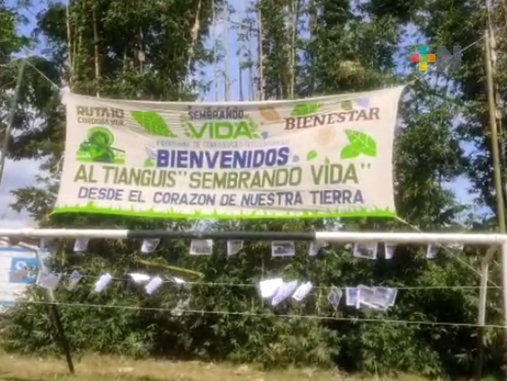 Campesinos que participan en programa Sembrando Vida realizan tianguis en Fortín