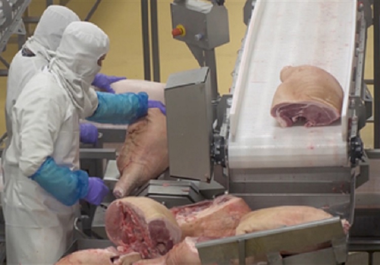 Carne de cerdo, harina de pescado y aguacate, productos mexicanos más demandados en China