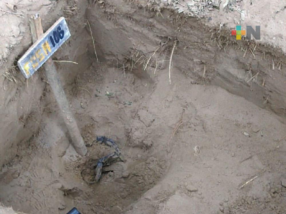 Colectivo «Solecito» seguirá luchando para encontrar a sus seres queridos