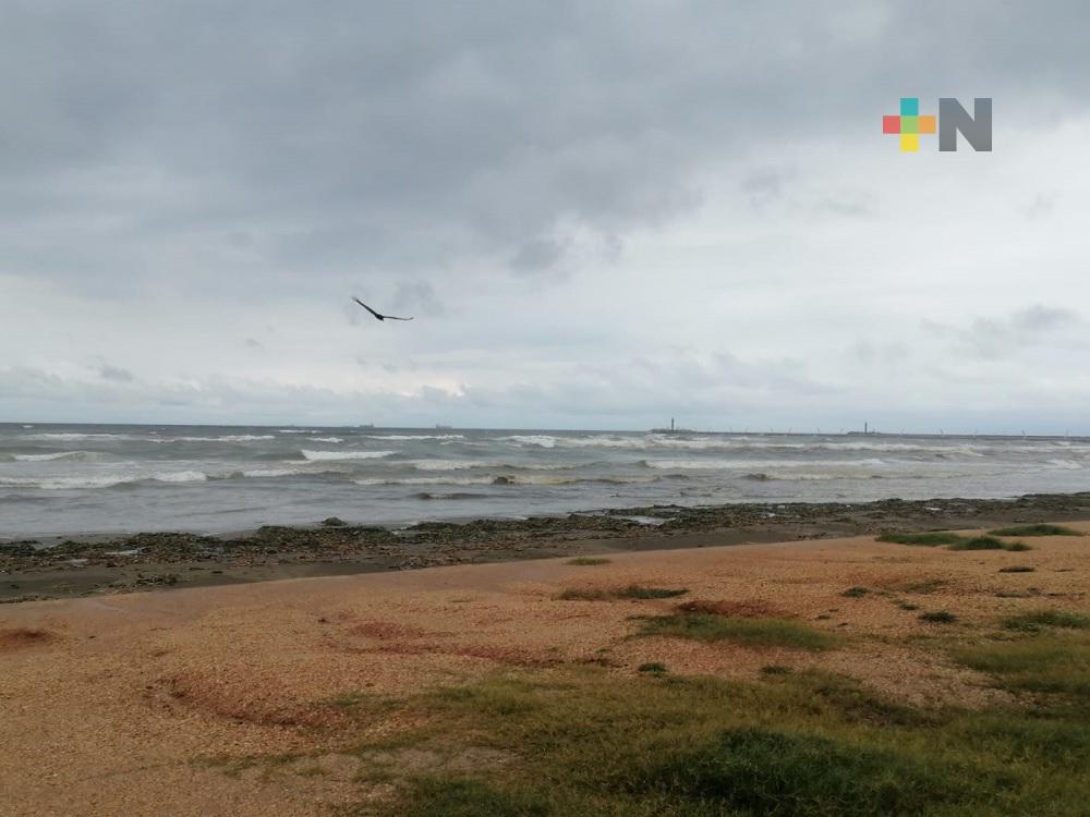 Frente frío 11 provocará oleaje de uno a dos metros de altura en playas de Coatza