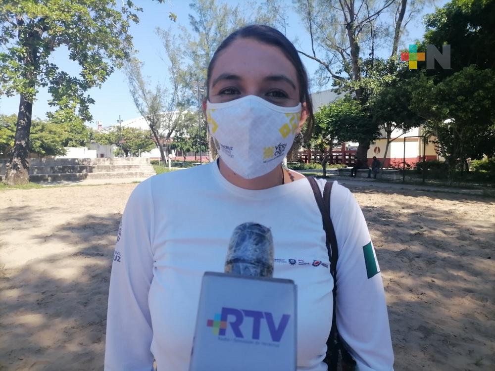 Protección Civil no verifica venta clandestina de pirotecnia: Guadalupe Osorno