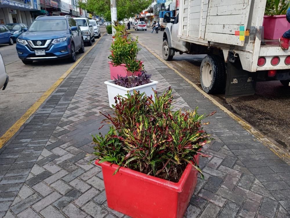 Instalan macetas en avenidas del centro de Coatzacoalcos