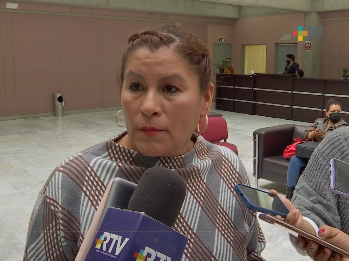 Docentes de Veracruz deben confiar que incremento salarial se pagará: Diputada Irma Mezhua