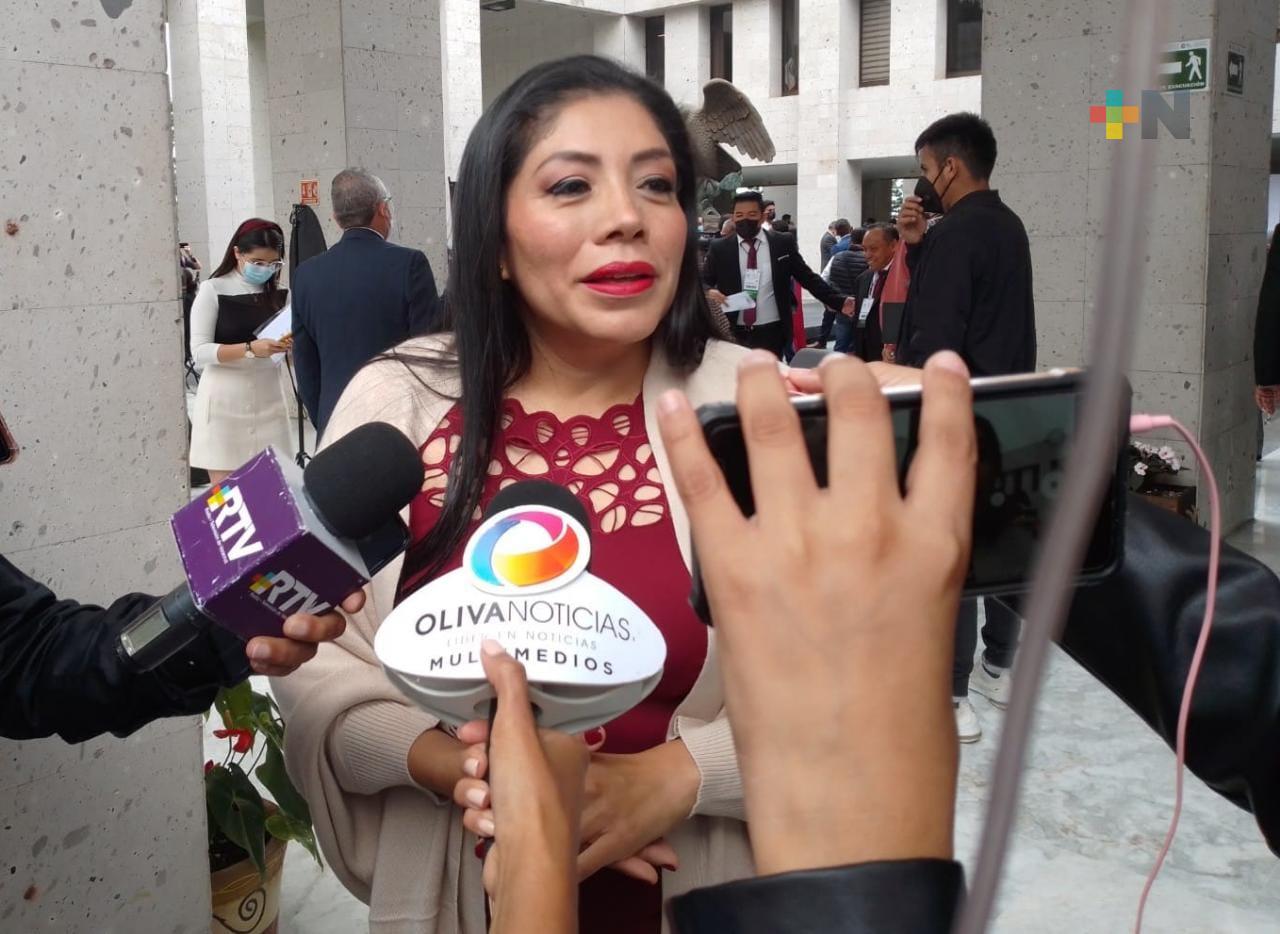 Diputados locales de Morena respaldan al diputado Juan Javier Gómez Cazarín