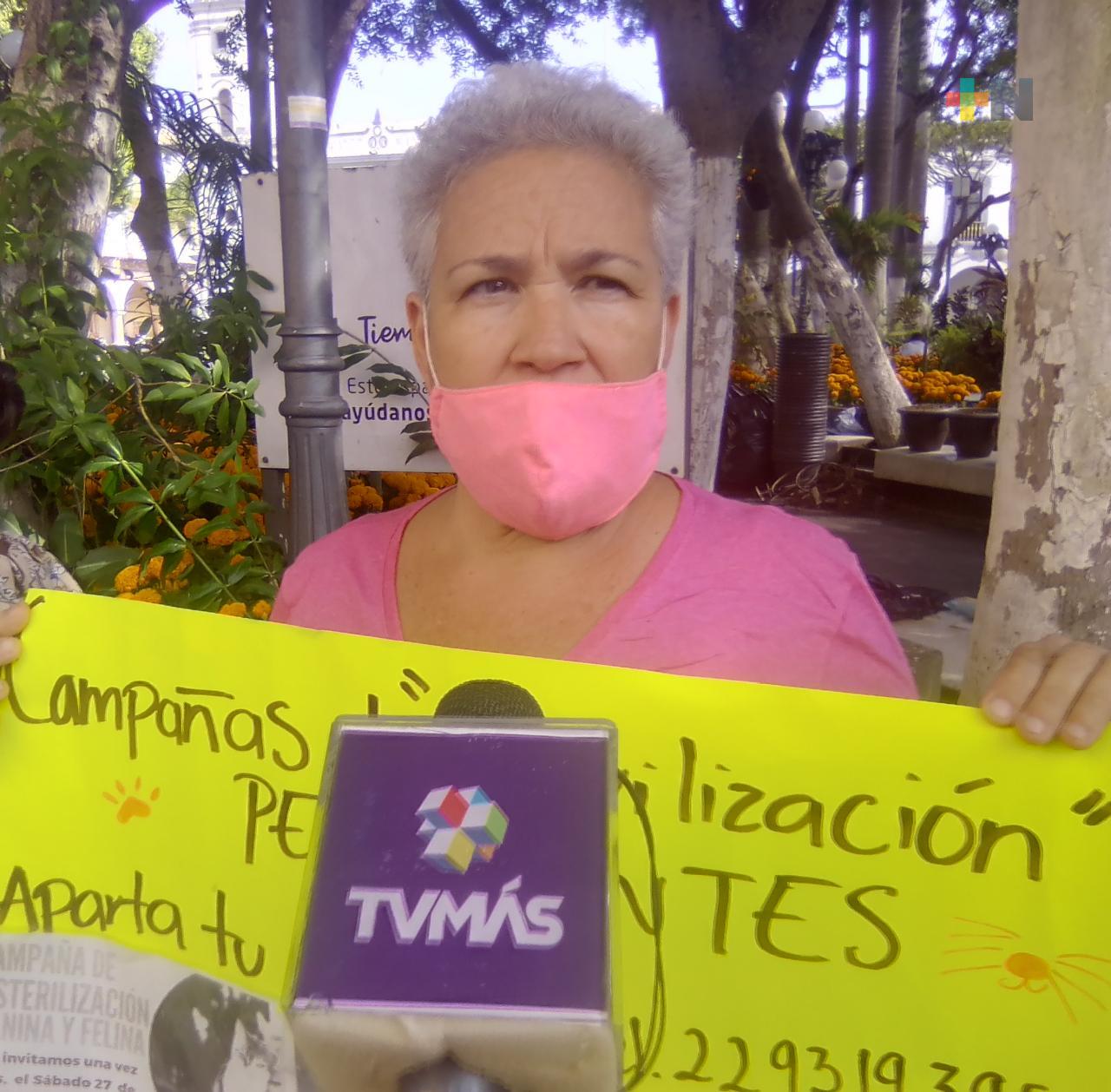 Anuncian esterilización de mascotas en colonias del puerto de Veracruz