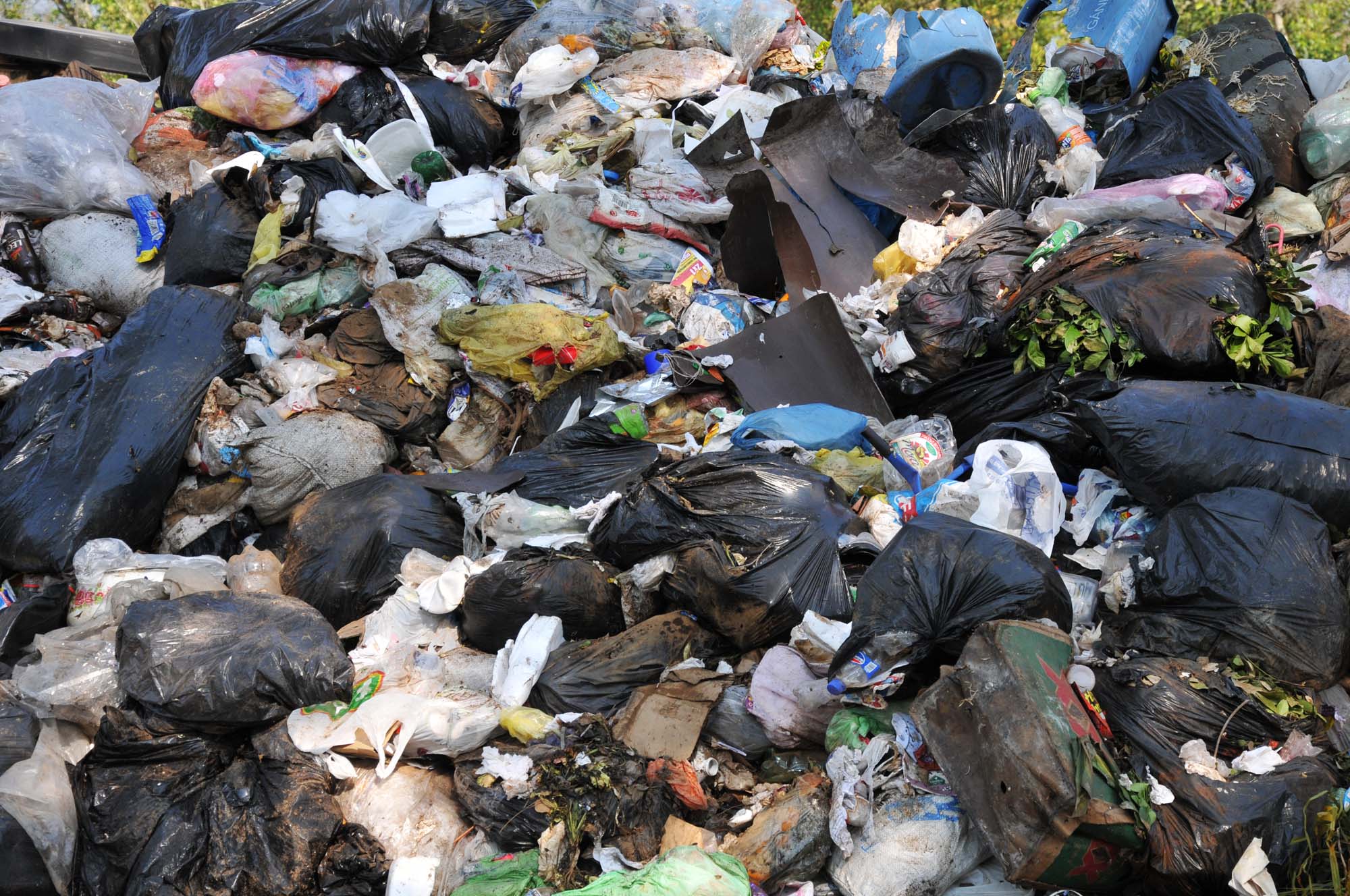 Denuncian tiradero clandestino de basura y cárnicos en Huayacocotla