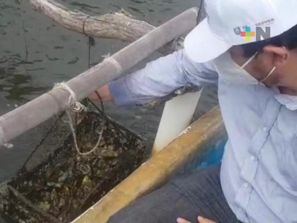 Realizan monitoreo en Laguna del Ostión en Pajapan