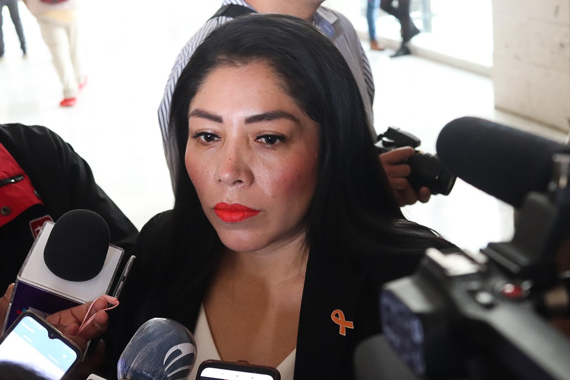 Proyecto de Egresos 2022 será analizado con sentido de responsabilidad: Diputada