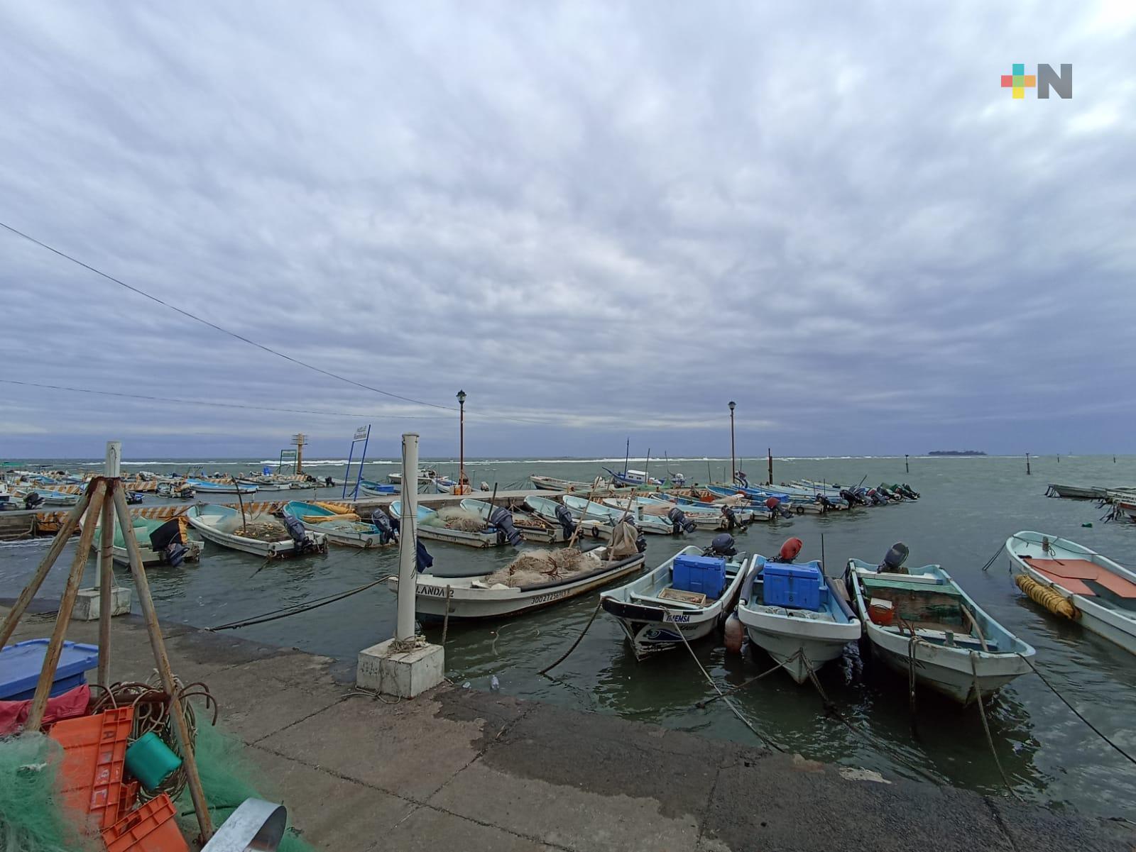 Norte alcanzará hasta 75 km/h en zona costera de Veracruz y Boca del Río