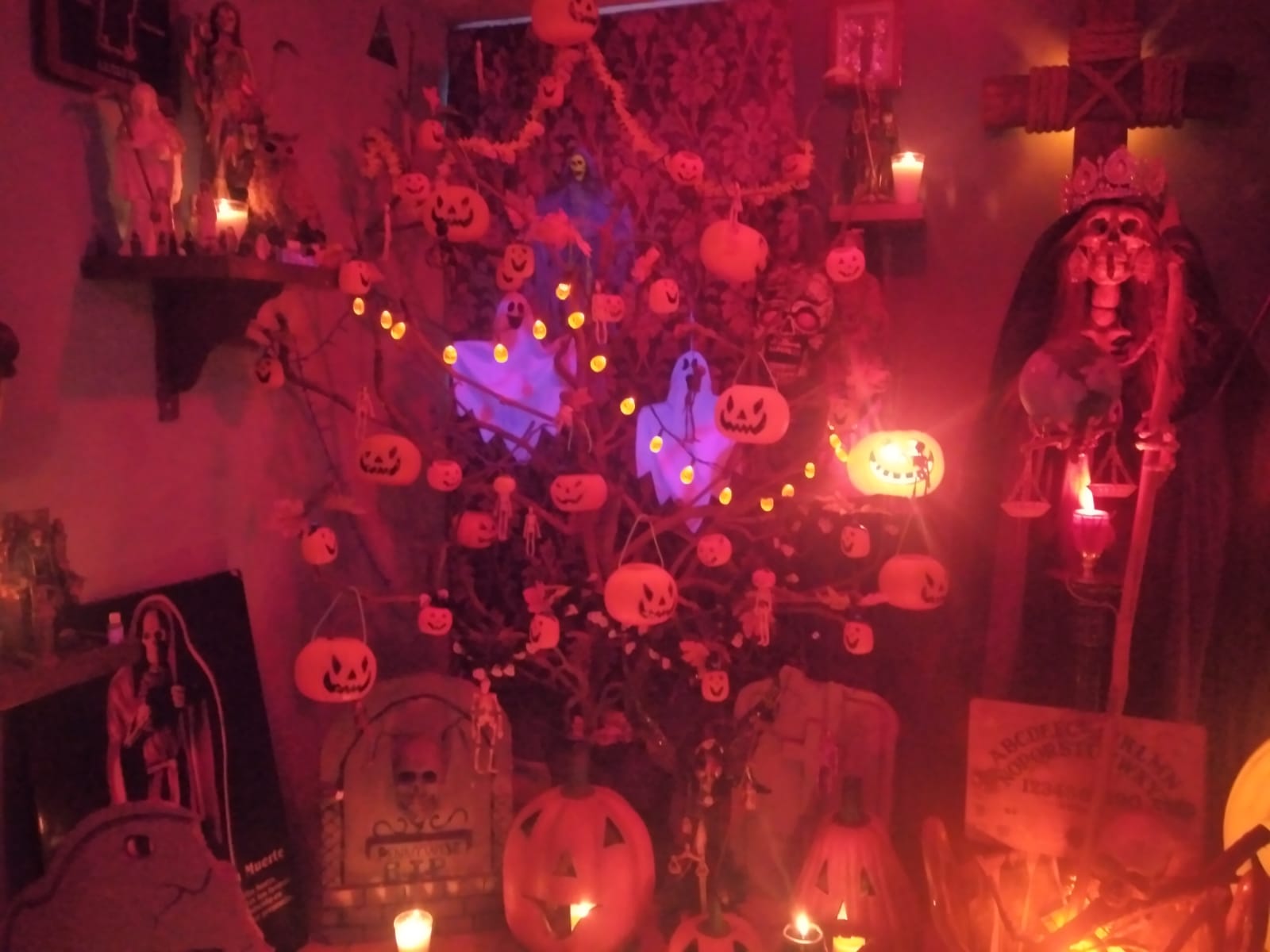 La adoración de la Santa Muerte en Veracruz