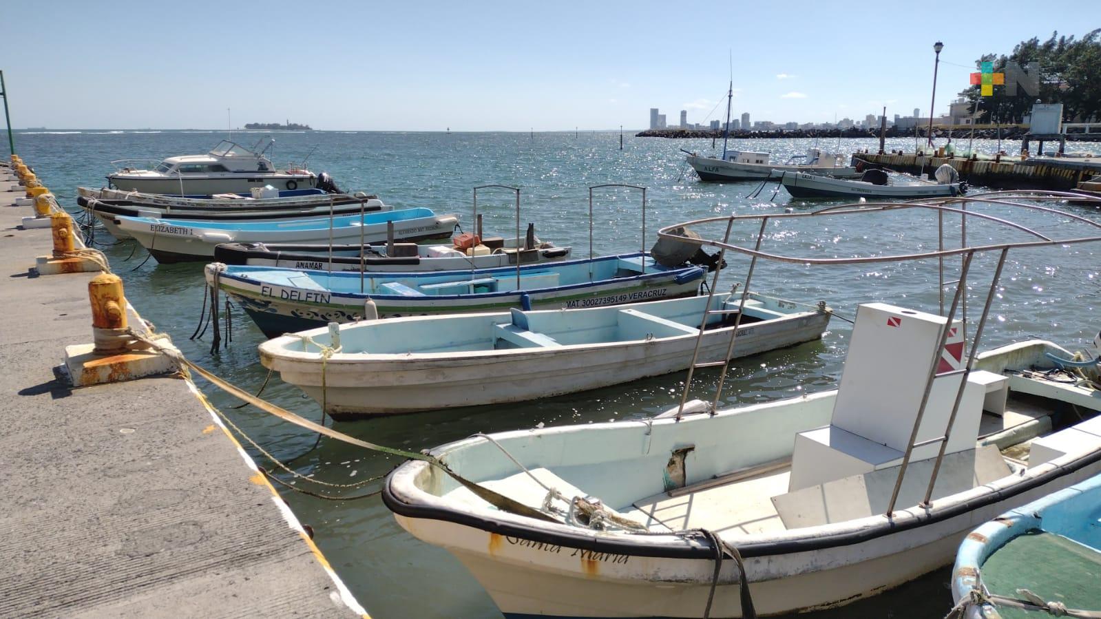 Por frente frío 11, pescadores de Veracruz puerto no saldrán a mar abierto