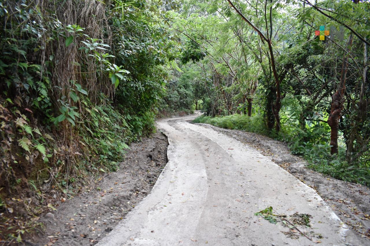 Programa «Caminos Saca Cosechas» en Tlapacoyan apoya al campo