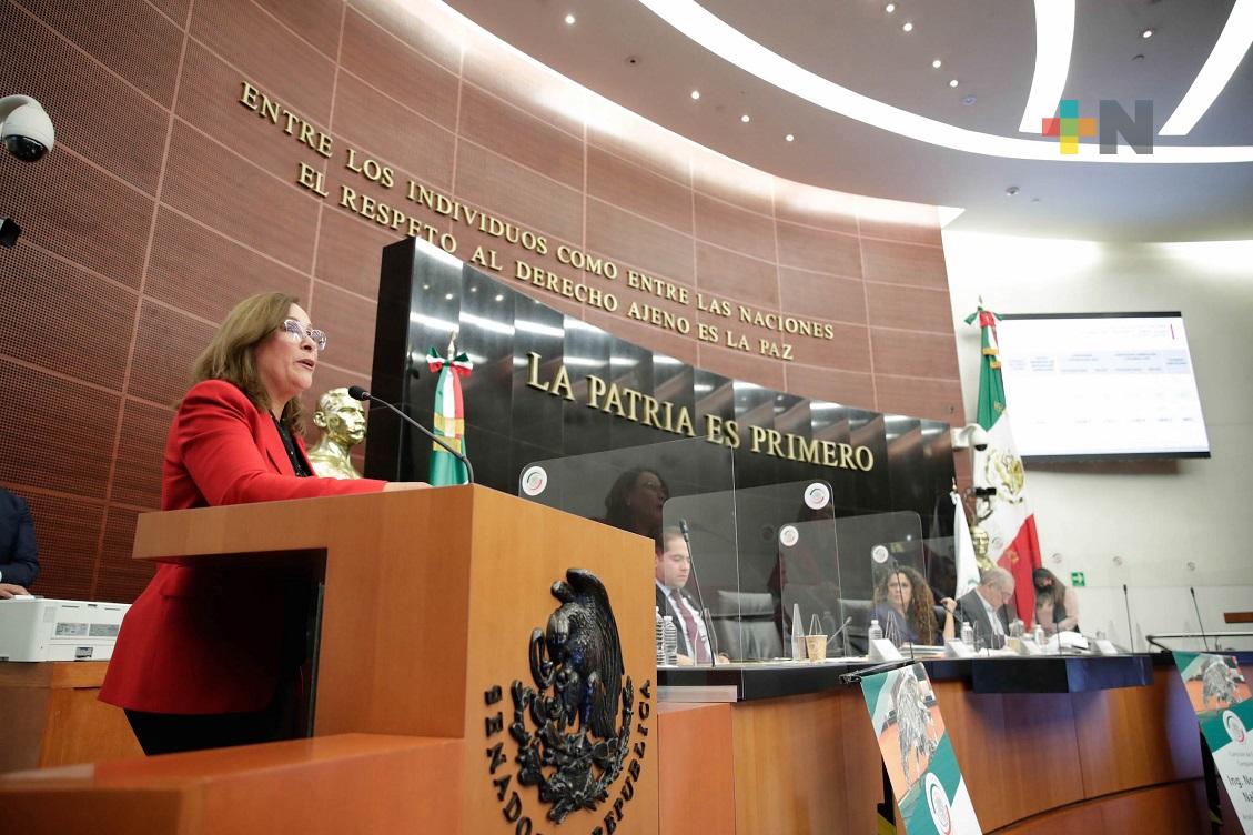 Rocío Nahle defiende en el Senado pertinencia de reforma eléctrica