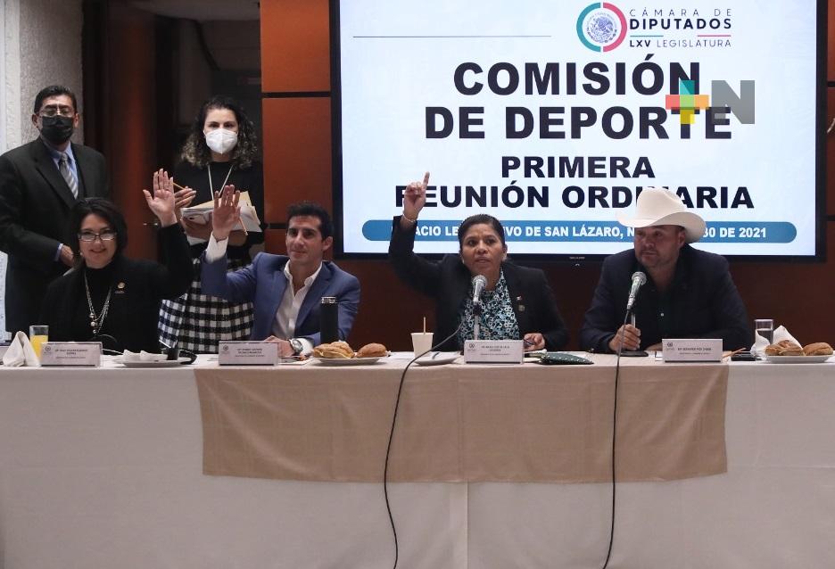 En Cámara de Diputados, Comisión del Deporte aprueba el plan anual de trabajo