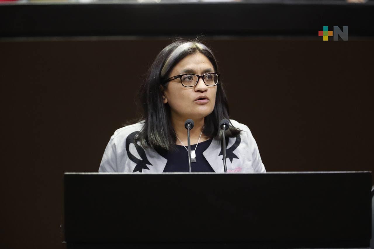 Urgen reformas a leyes del IMSS e ISSSTE en pensiones por viudez: Aleida Alavez