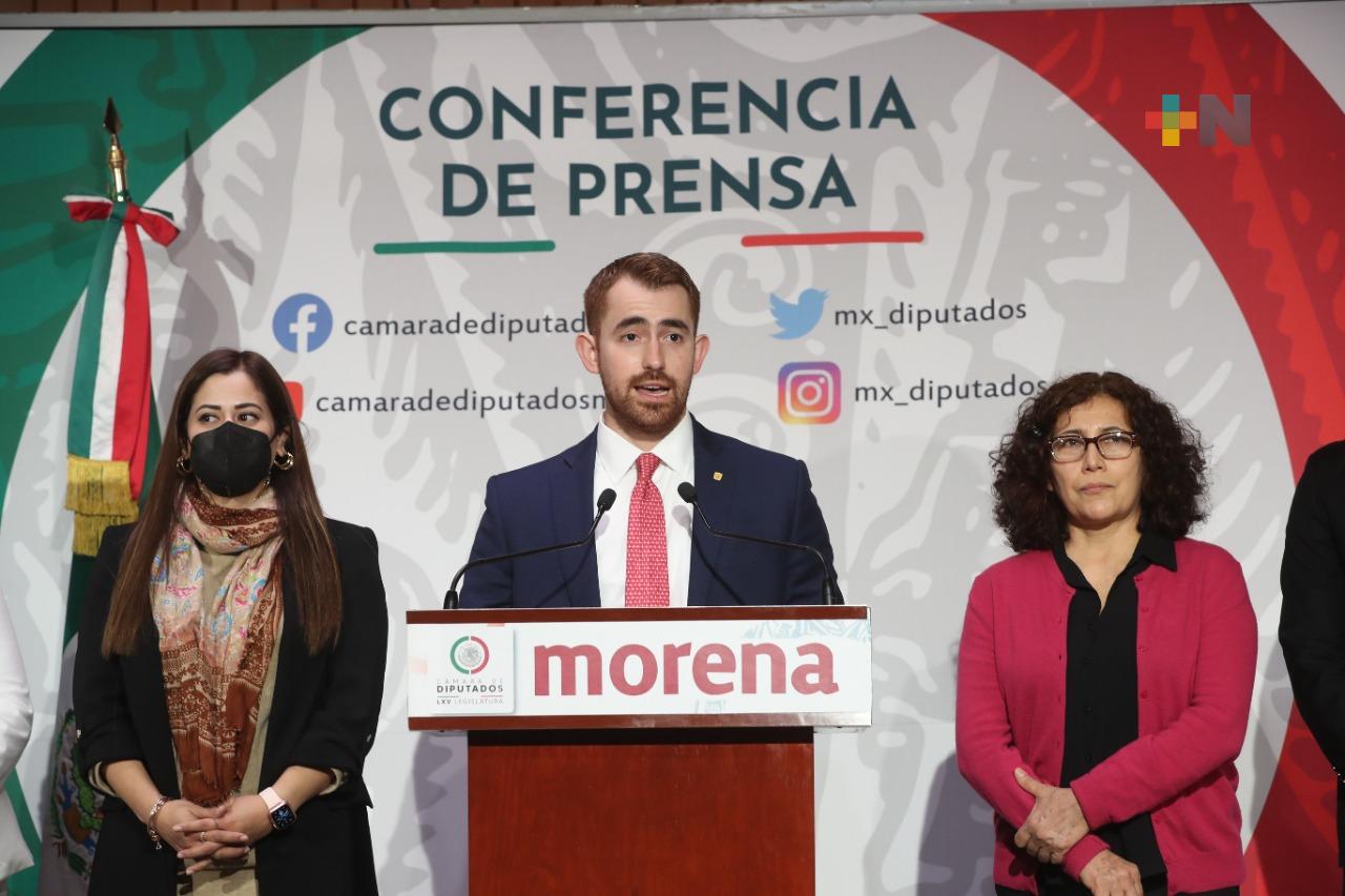 Impulsan diputados de Morena iniciativa para reconocer a los animales, en la Constitución, como seres sintientes