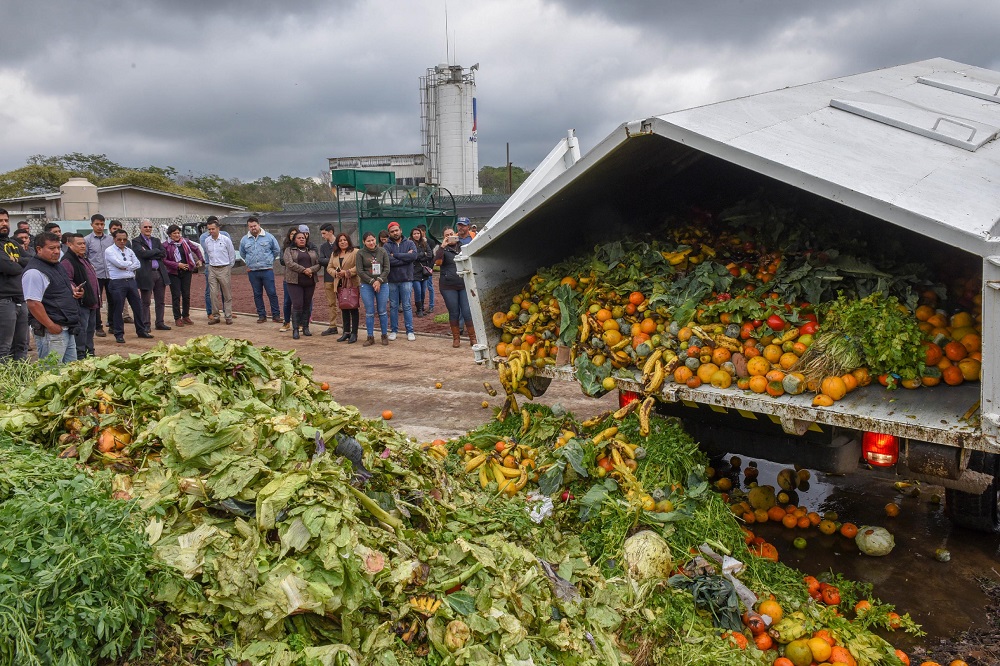 Centro Municipal de Compostaje, ejemplo de buenas prácticas ambientales