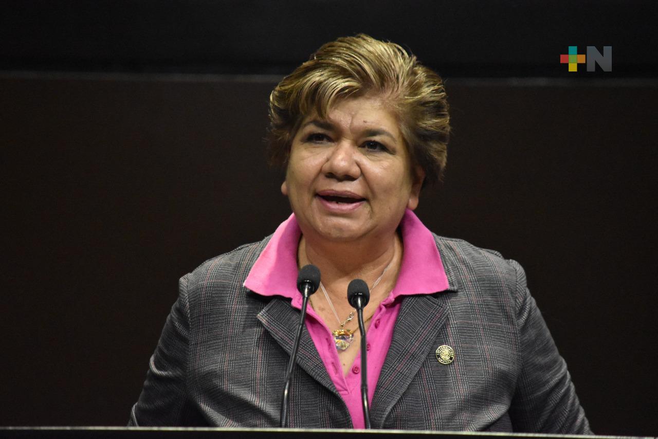 Propone María Eugenia Hernández garantizar a personas adultas mayores acceso igualitario a bienes y servicios culturales que ofrece el Estado mexicano