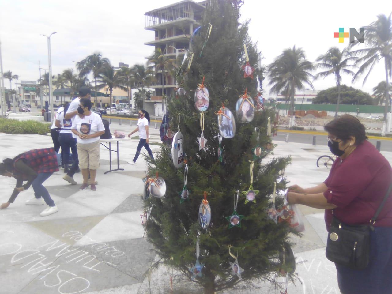 Colocan Árbol de la Memoria en recuerdo de personas desaparecidas, en puerto de Veracruz
