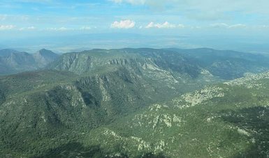 Sembrando Vida reforestará Sierra de San Miguelito: AMLO; decretan región como Área Natural Protegida