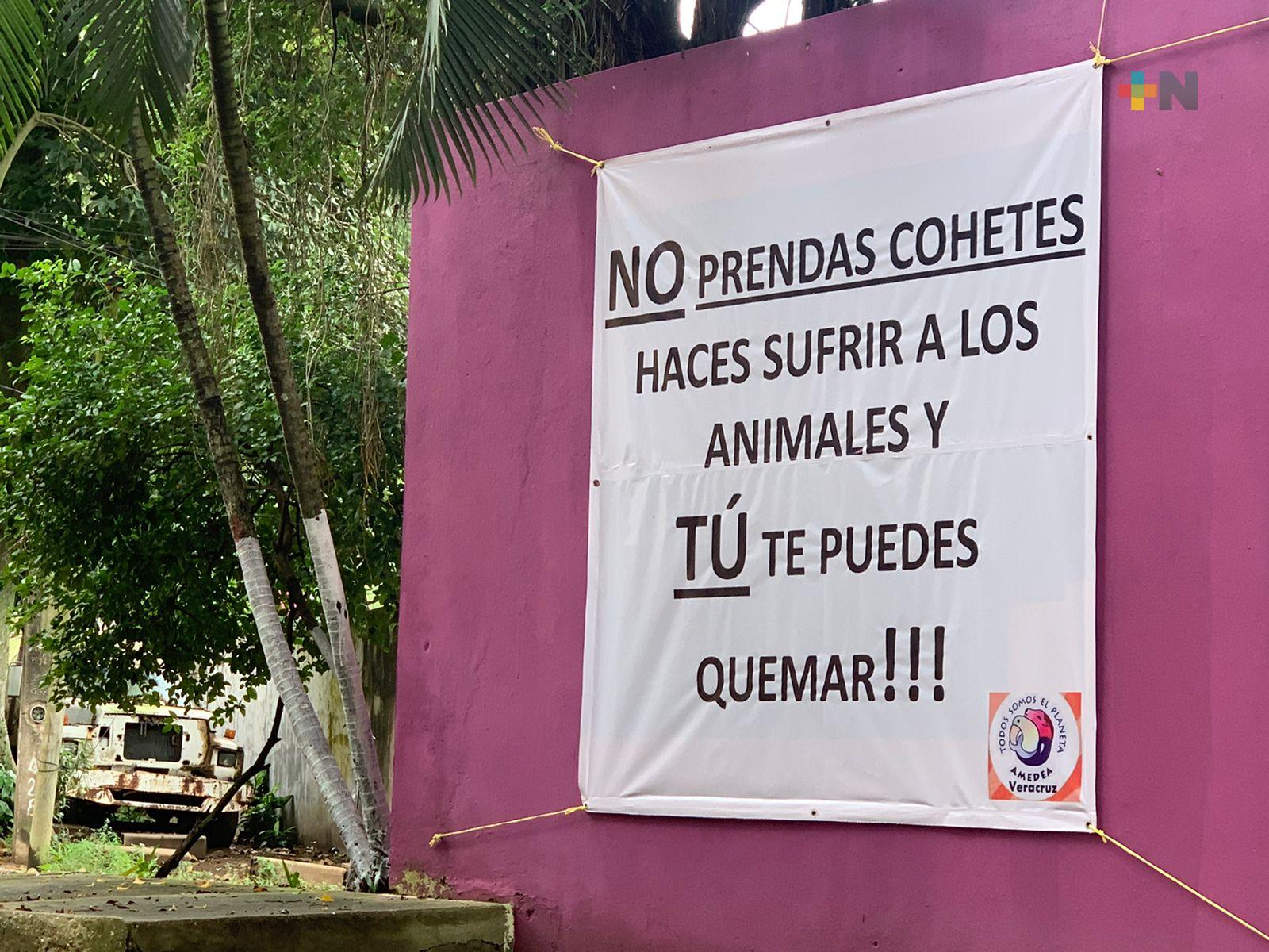 Perros pueden morir de un paro respiratorio por ruido de cohetes: Amedea