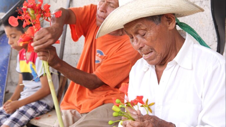 Tradición, historia y legado musical desde Desarrollo Cultural Regional IVEC