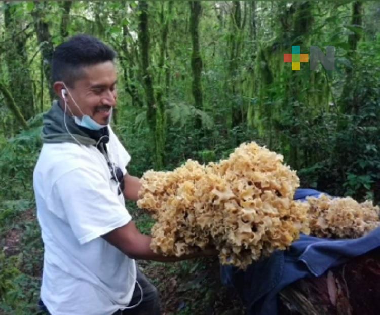 Estudiantes del Tecnológico de Chicontepec emprenden proyectos productivos