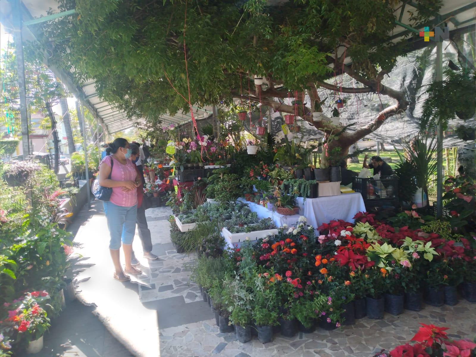 Expo Nochebuena en parque Zamora se extenderá hasta 12 de diciembre