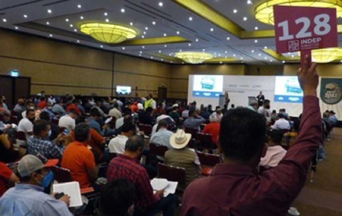 INDEP capta 45.3 mdp a paleta alzada en Monterrey