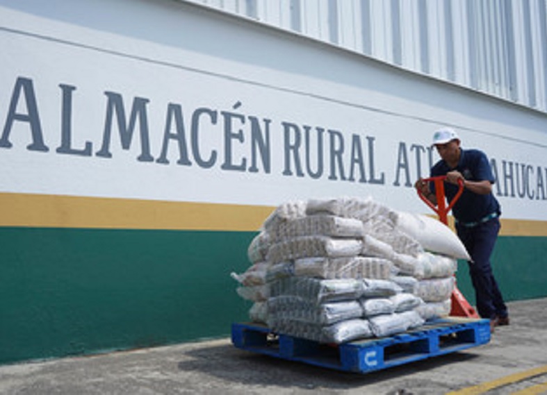 Incrementa Agricultura incentivo para coberturas a productores de maíz
