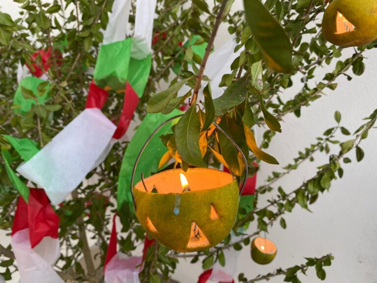 Invitan a disfrutar de jornada “La rama navideña en el Sotavento”