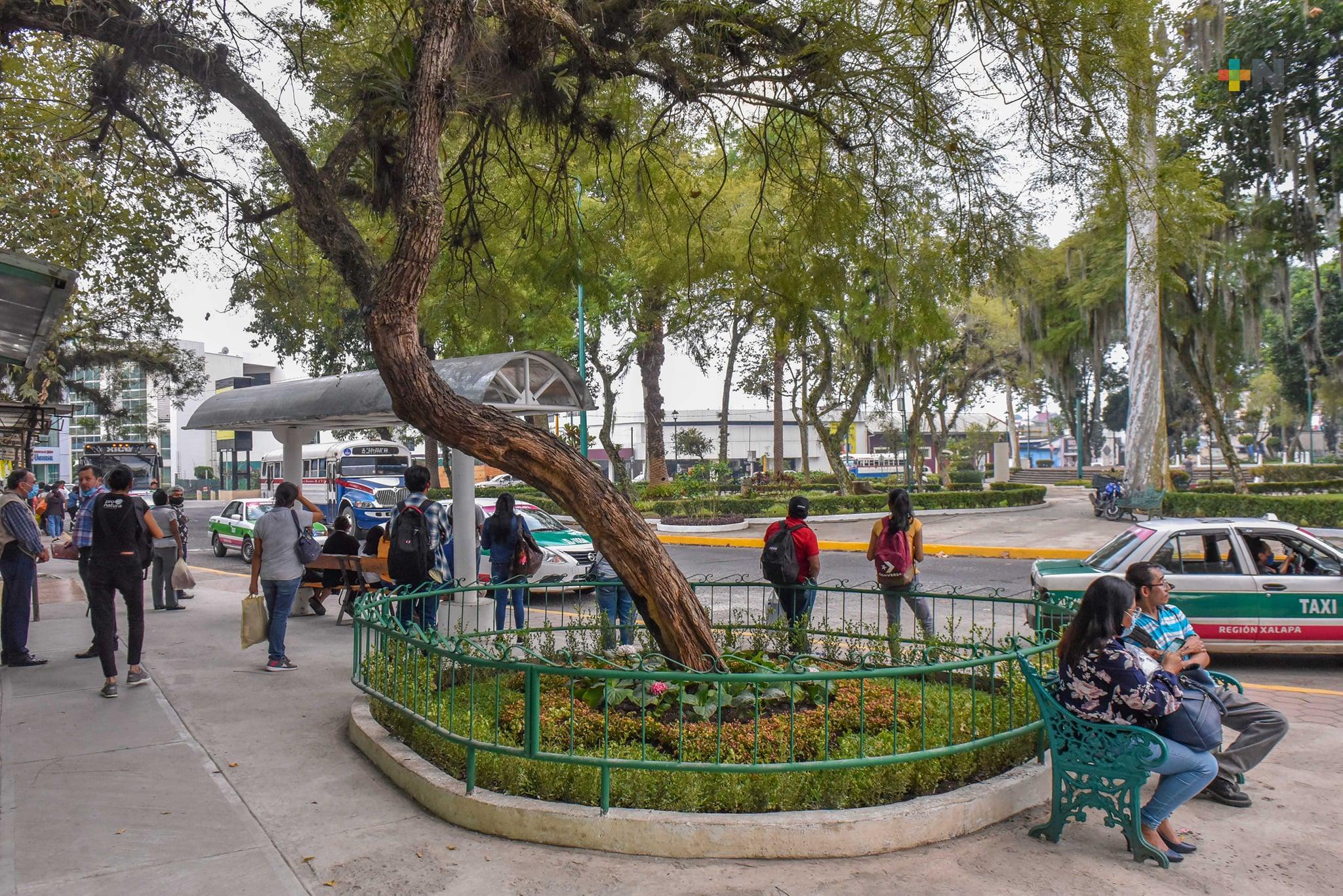Recupera Ayuntamiento Parque Revolución y paradero de autobuses de Los Sauces