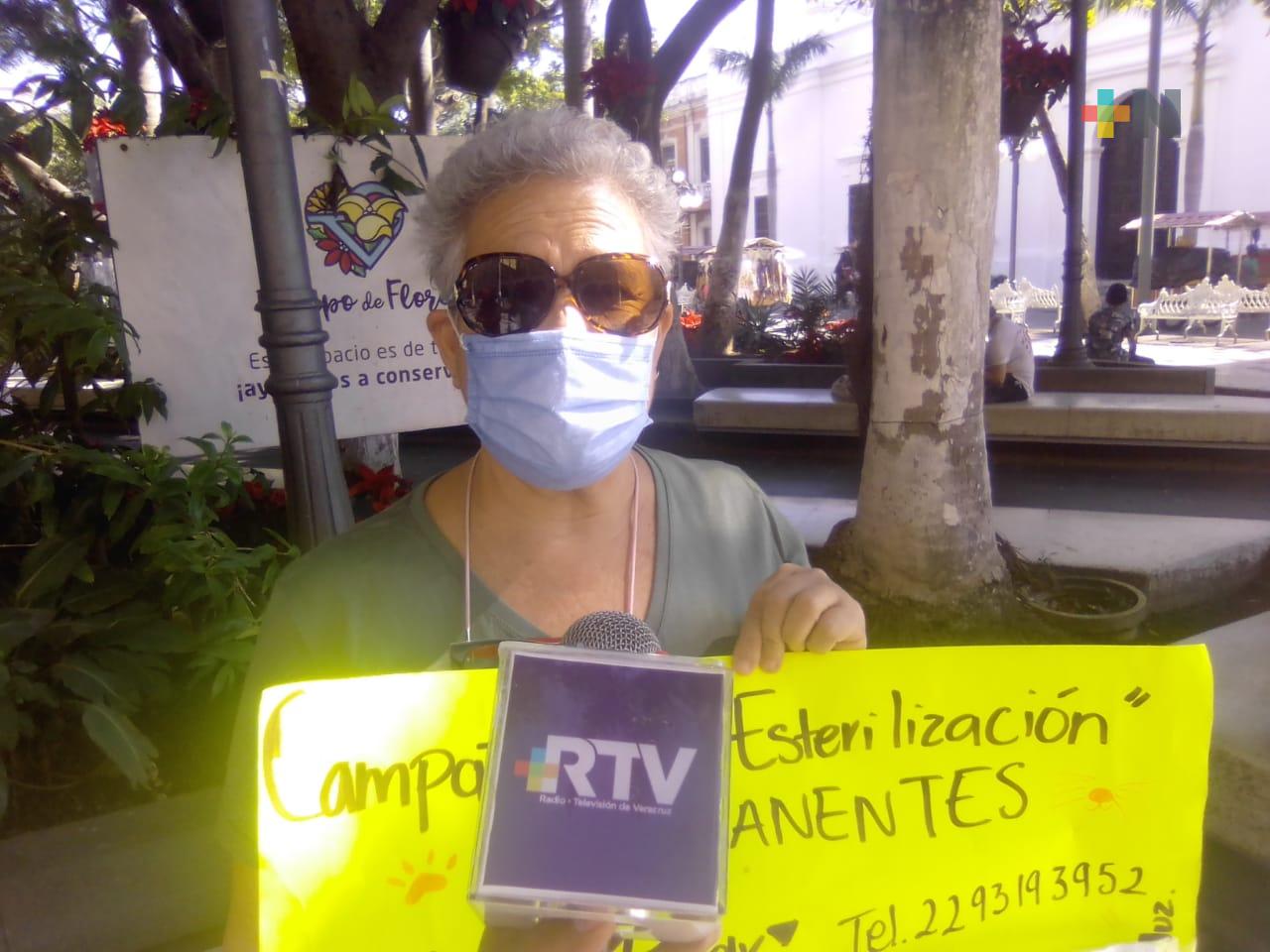 Animalistas realizarán campaña de esterilización en la ciudad de Veracruz