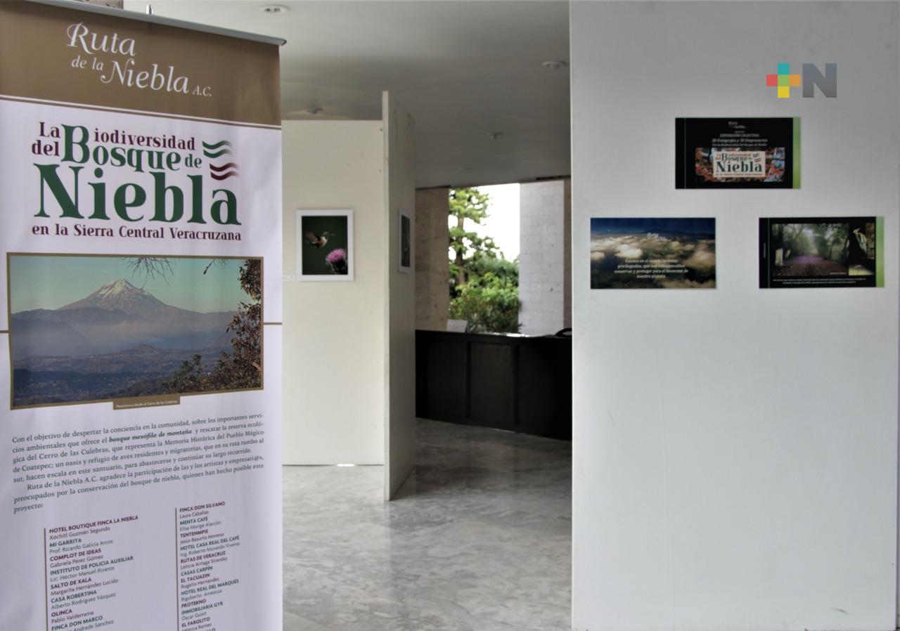 Inauguran en el Congreso exposición fotográfica del Bosque de Niebla