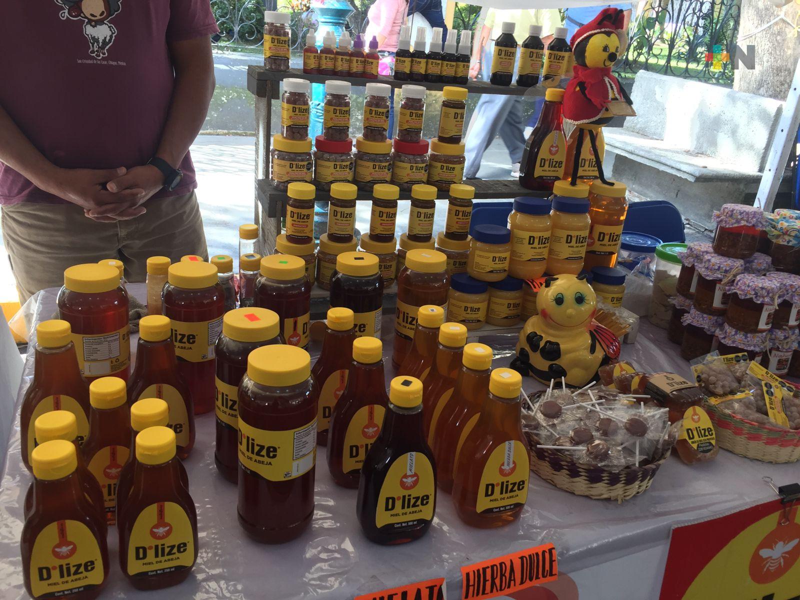 Agradecen comerciantes coatepecanos al Gobierno por el Festival Orgullo Navideño