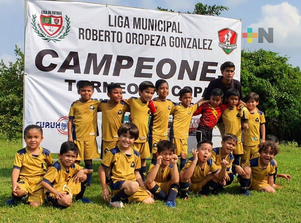 Este fin de semana se definen a los campeones de Copa, en Liga Oropeza
