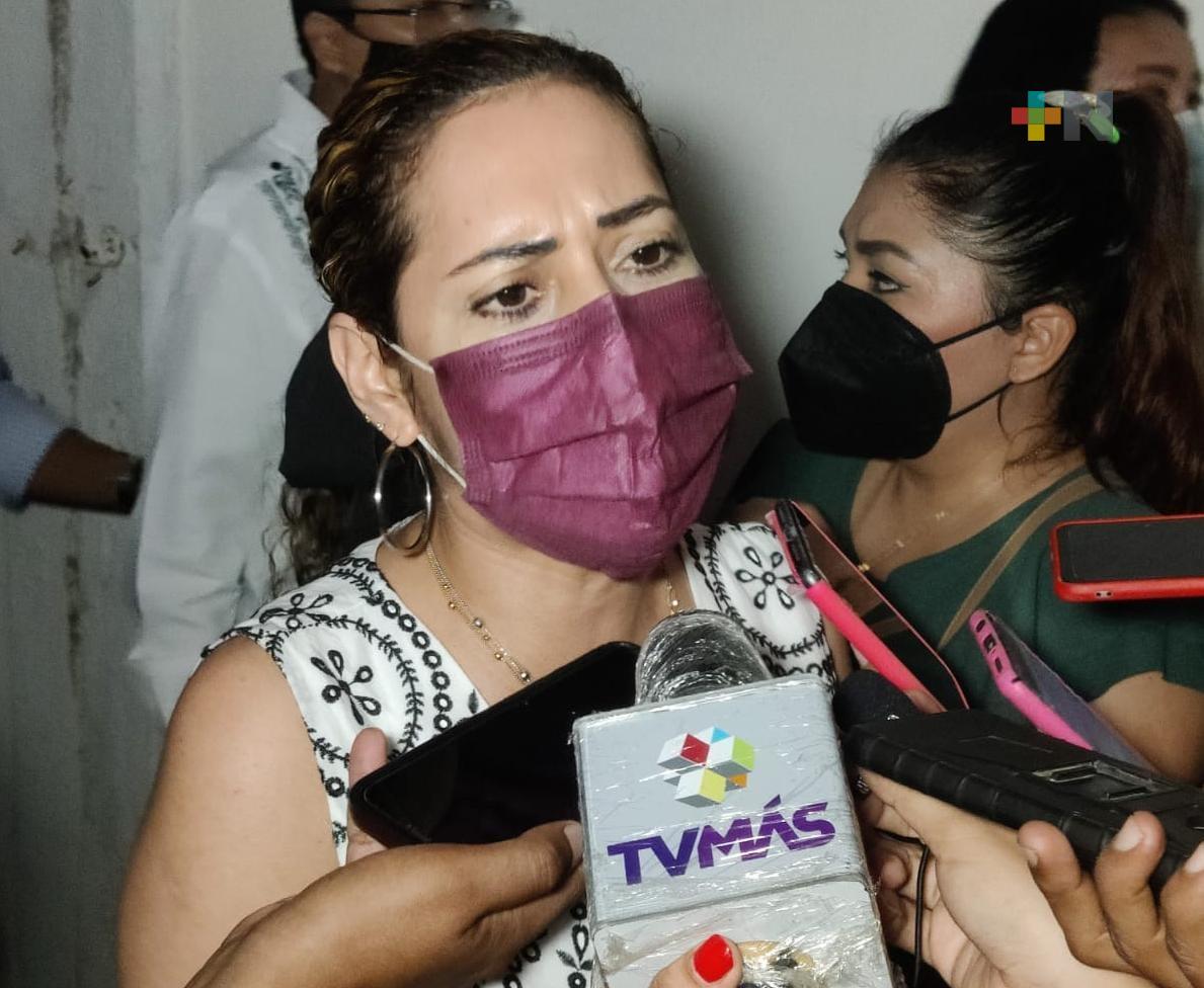 En 2022 se insistirá para aprobar reforma eléctrica: diputada Tania Cruz