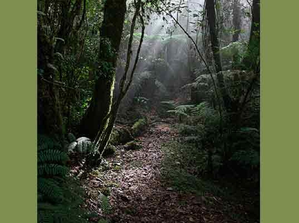 Usan genética como herramienta para anticipar efectos de alteración del clima