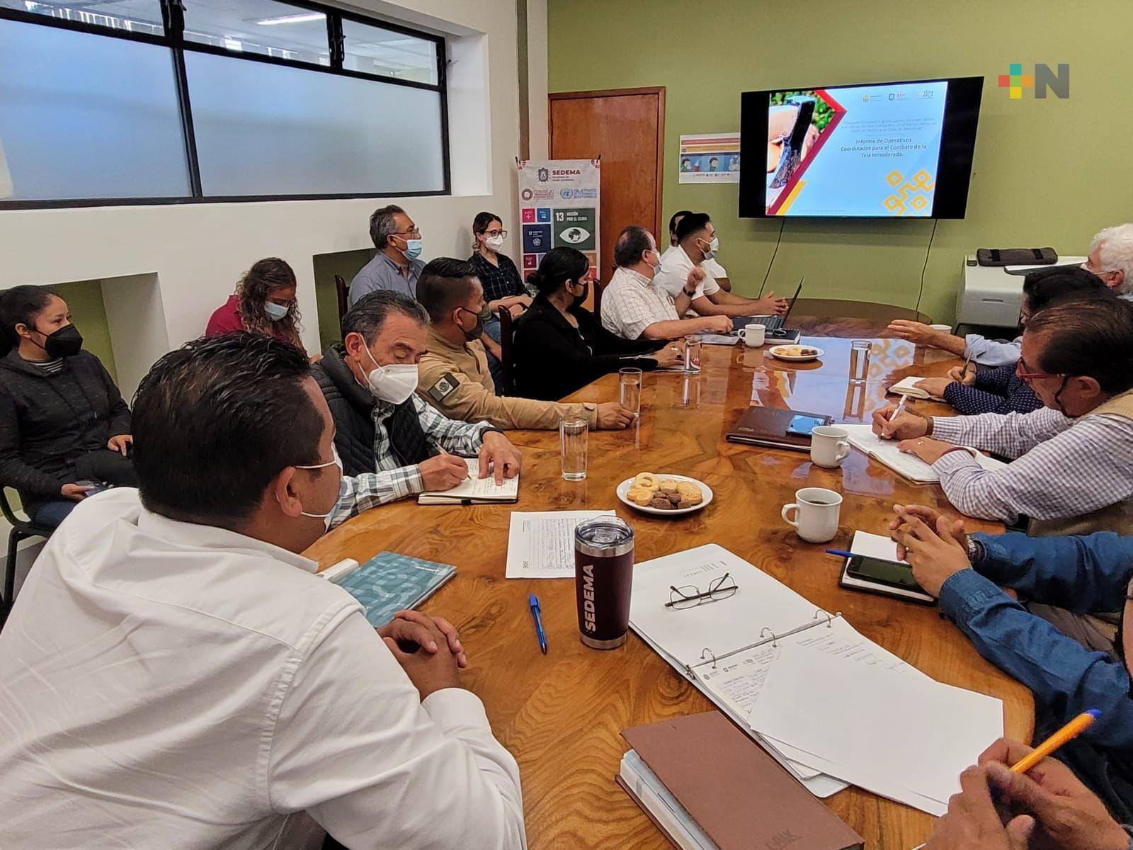 Veracruz cuenta con Mesa de combate para evitar la tala clandestina