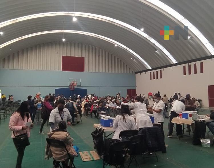 Continúa aplicación de vacuna de refuerzo a personas adultas en Xalapa