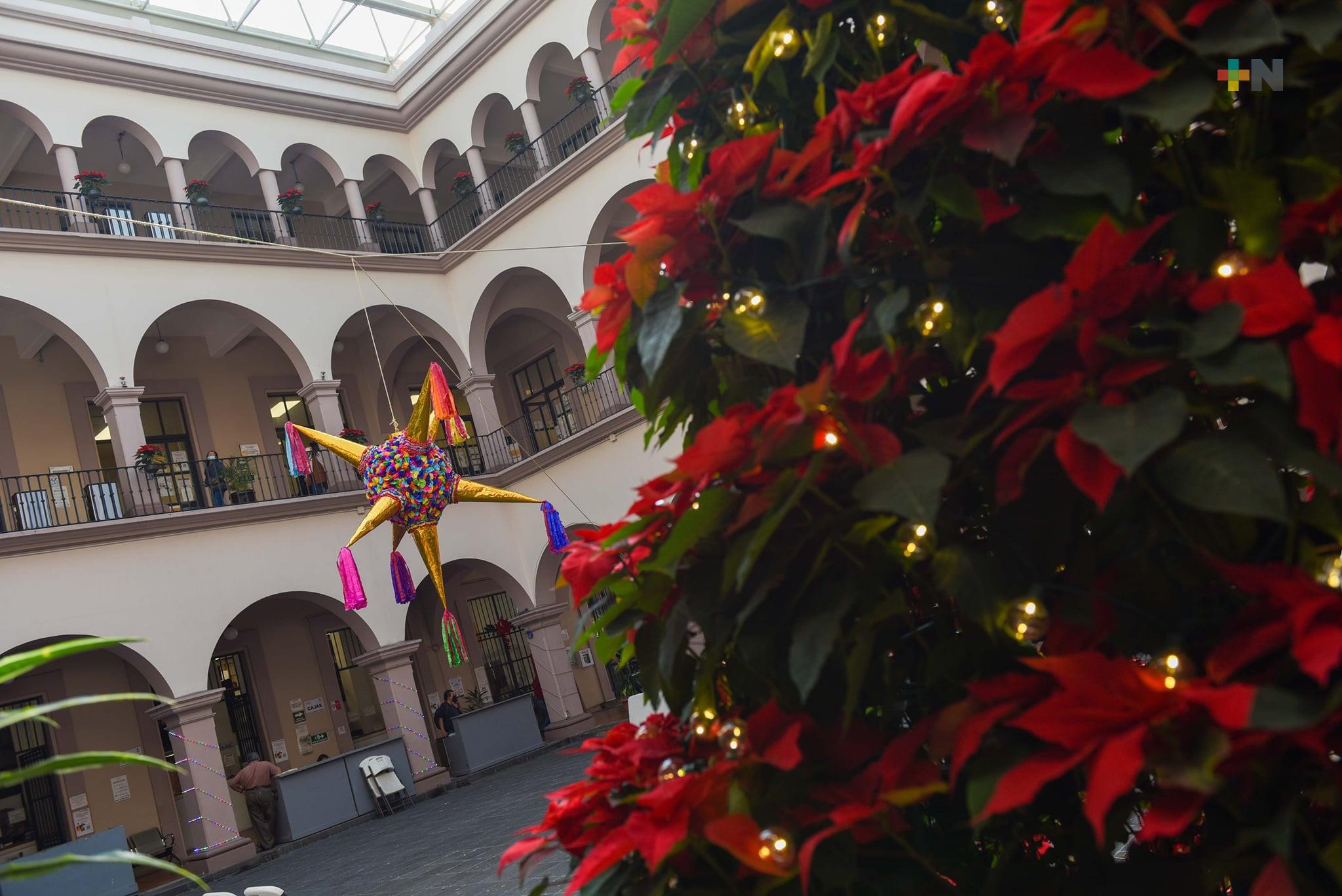 Instalan árbol de Navidad en Palacio Municipal de Xalapa