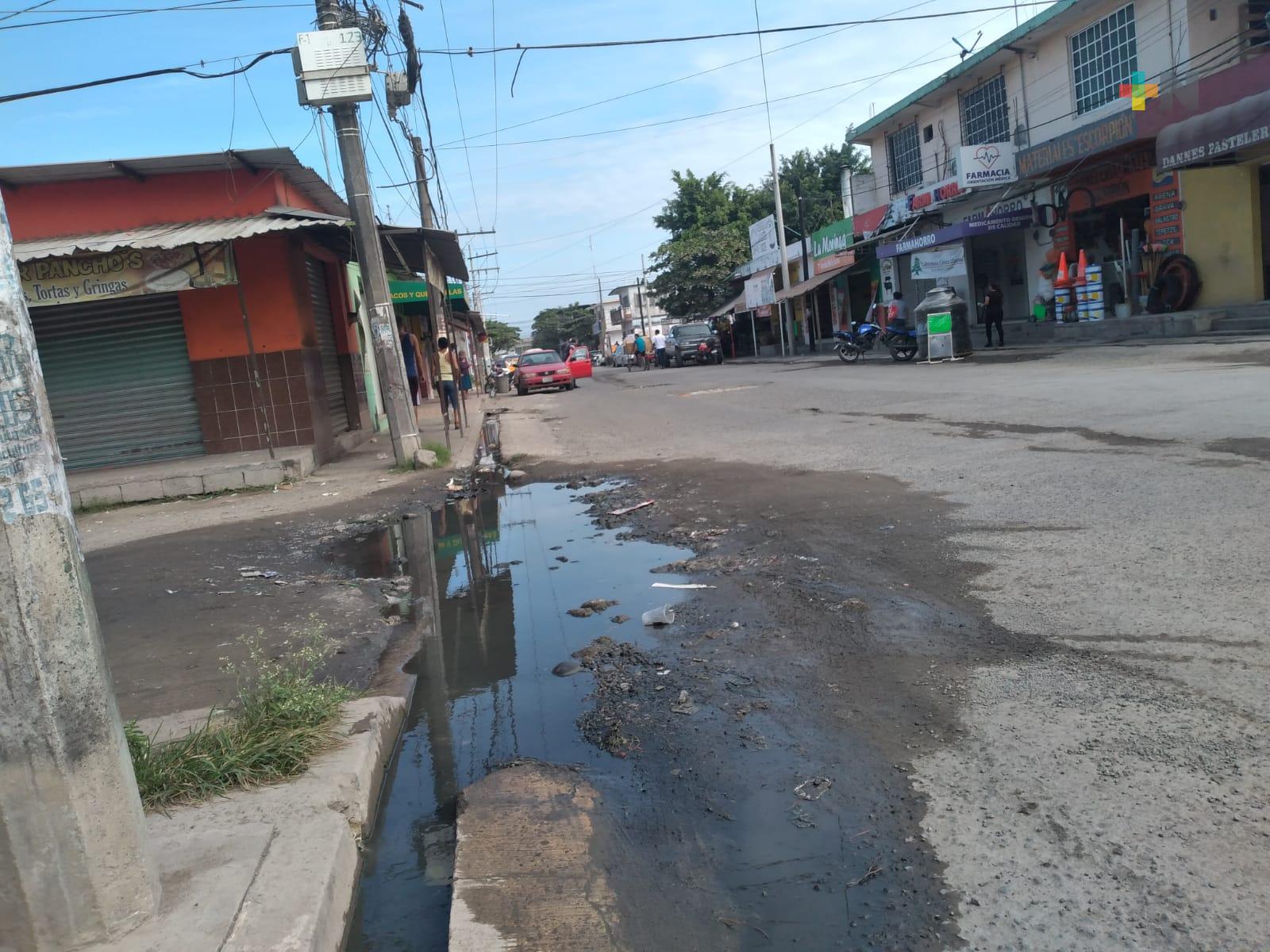 Vecinos piden rehabiliten calle Araucarias de la colonia Amapolas, en Veracruz