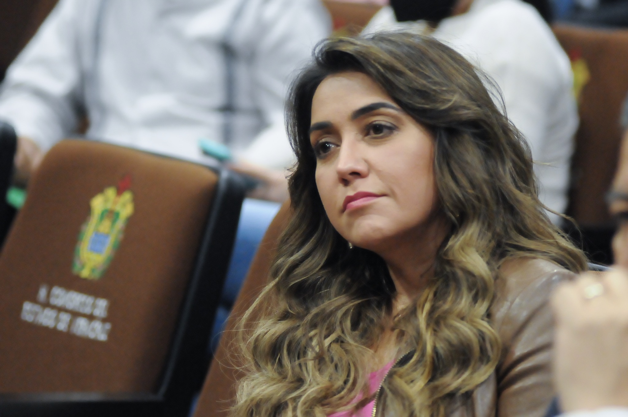 En debates legislativos debe haber madurez y responsabilidad: Anilú Ingram