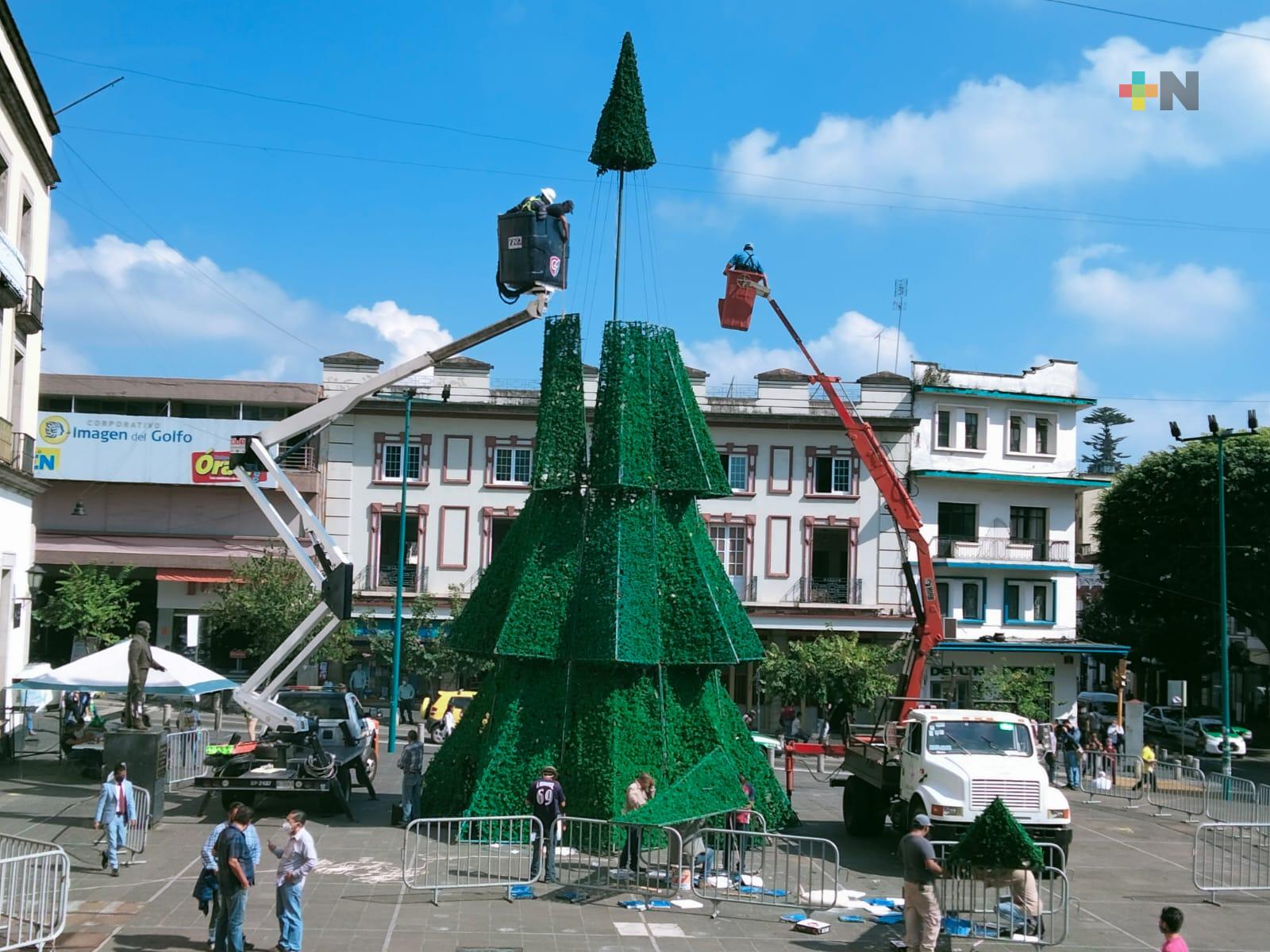 Inicia instalación de pino navideño en centro de Xalapa