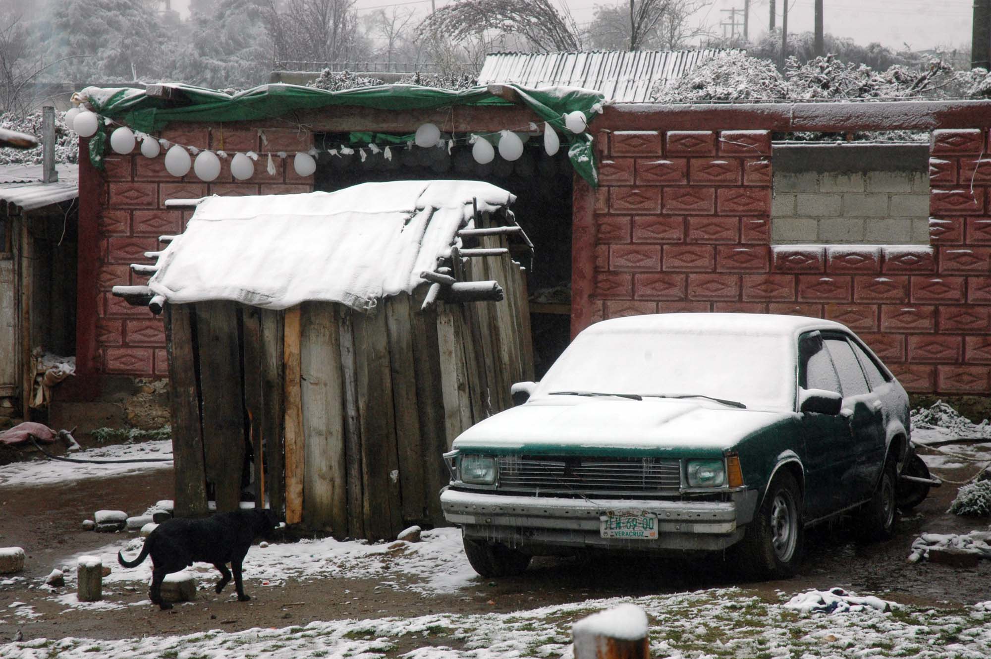 DIF estatal atiende a población afectada por caída de nieve en Cofre de Perote