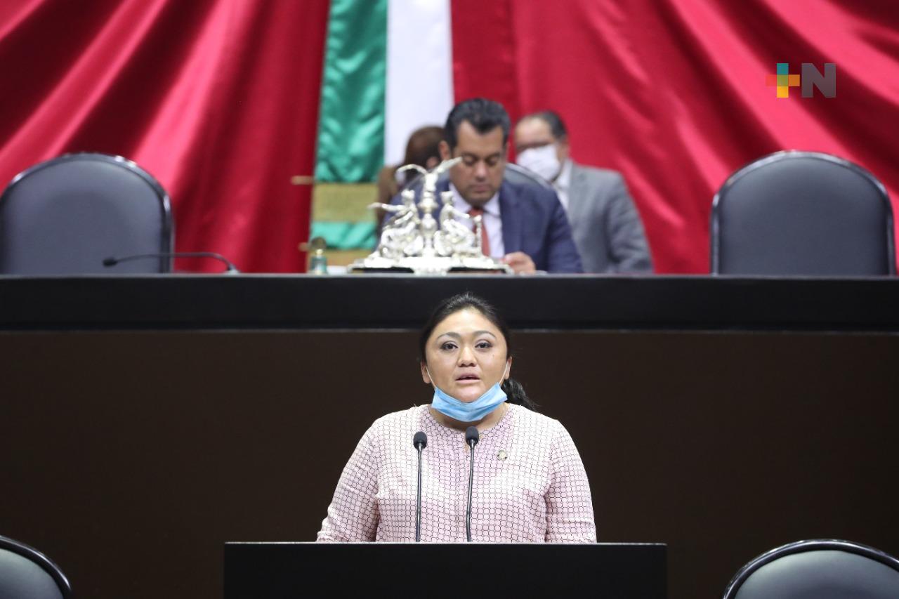 Plantean crear un banco nacional de datos sobre delitos contra las mujeres