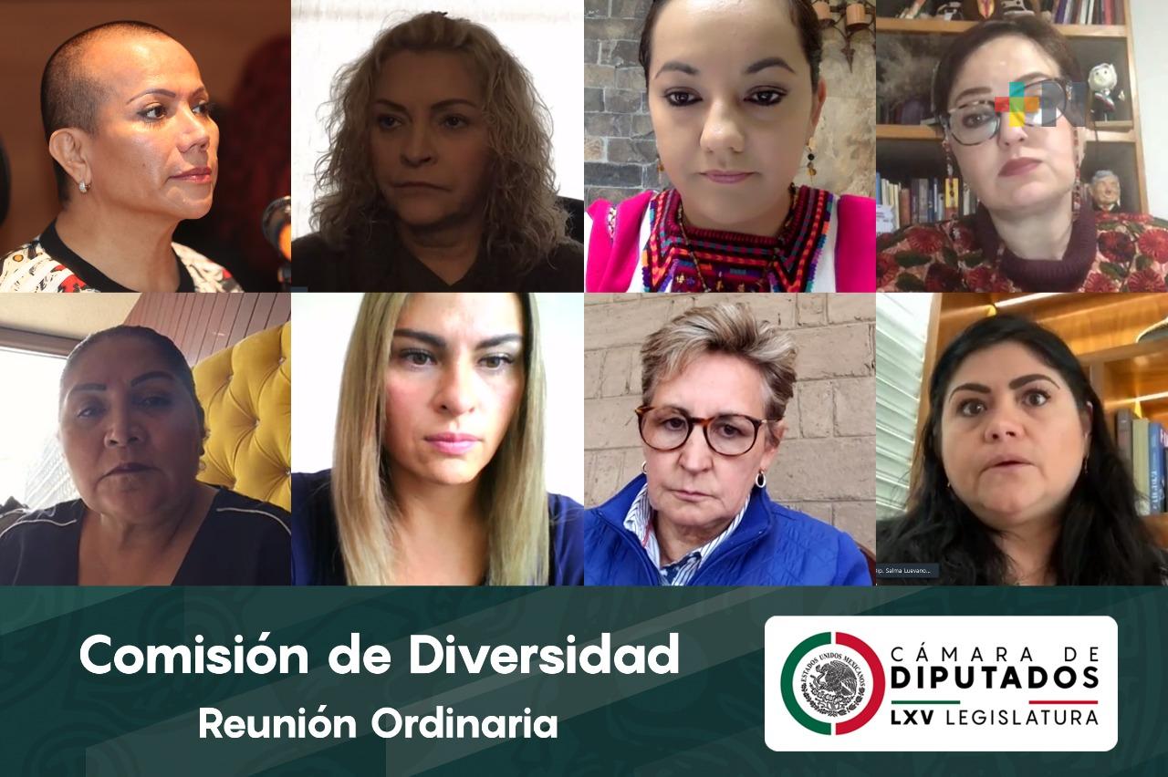 Avala Comisión de Diversidad reformas a la Ley Federal para Prevenir y Eliminar la Discriminación