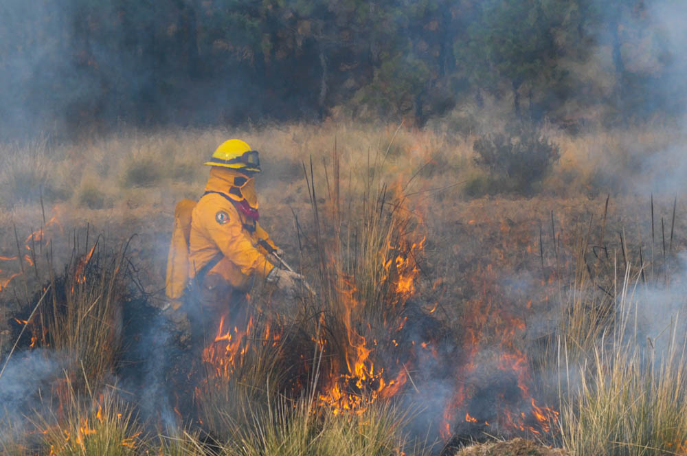 Más de 40 incendios forestales han atendido bomberos de las altas montañas