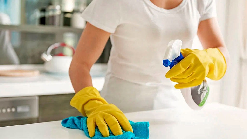 Invita IMSS Veracruz Norte a garantizar seguridad social de trabajadoras del hogar